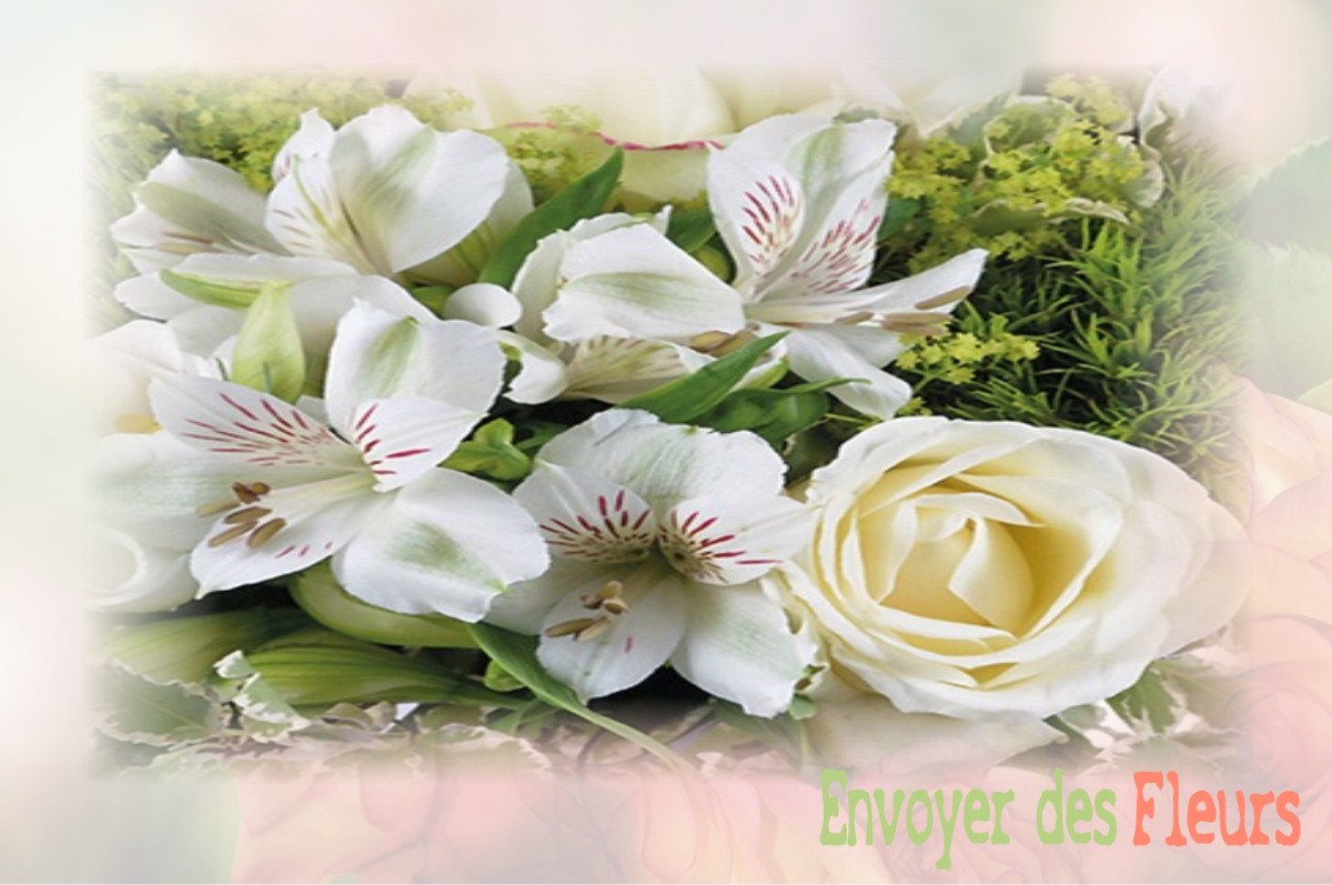 envoyer des fleurs à à BOISSISE-LE-ROI