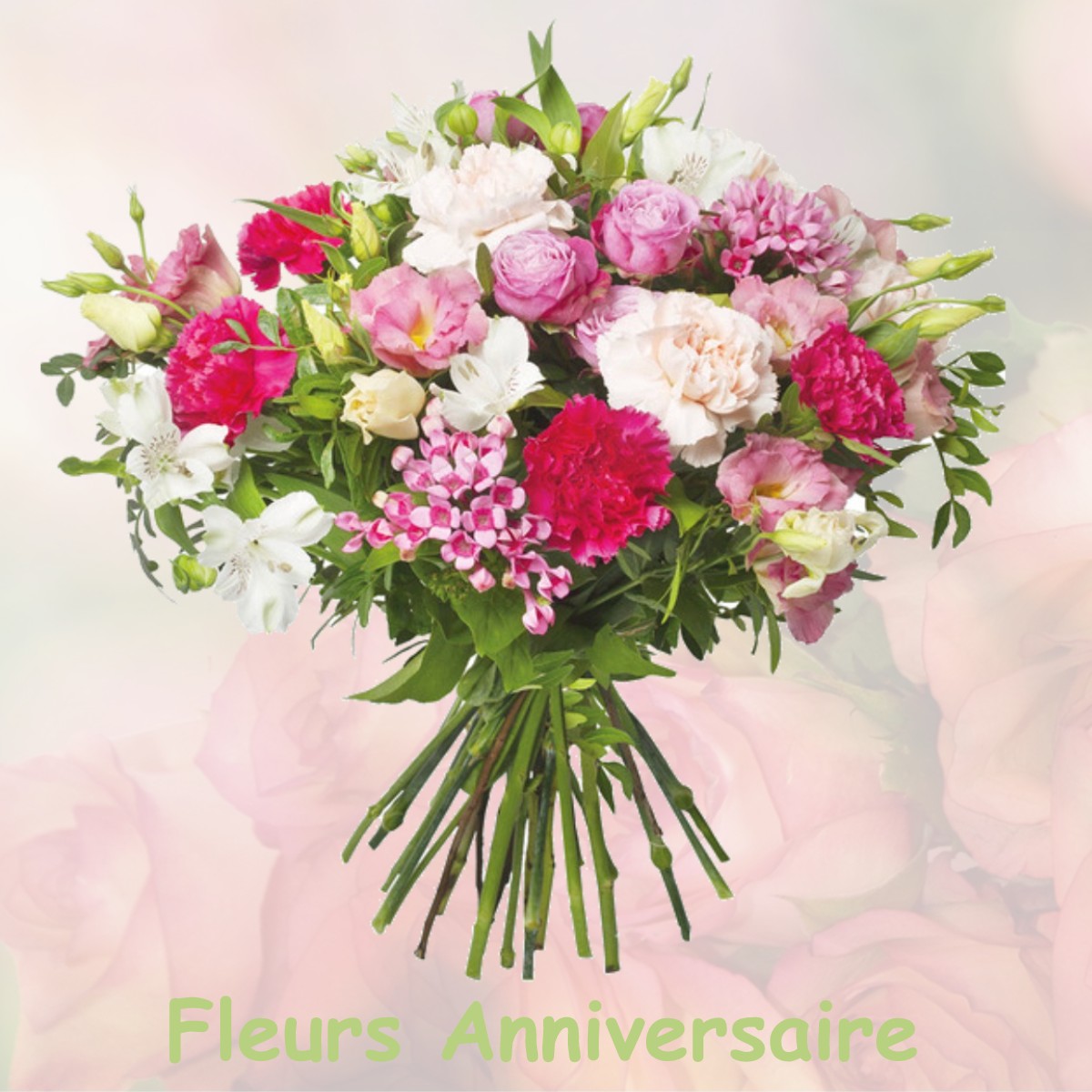 fleurs anniversaire BOISSISE-LE-ROI